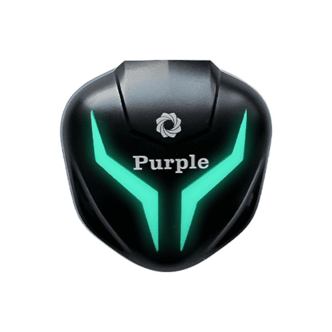 Buy Purple Gamerz earbuds at best price in Nepal | Brother-mart
