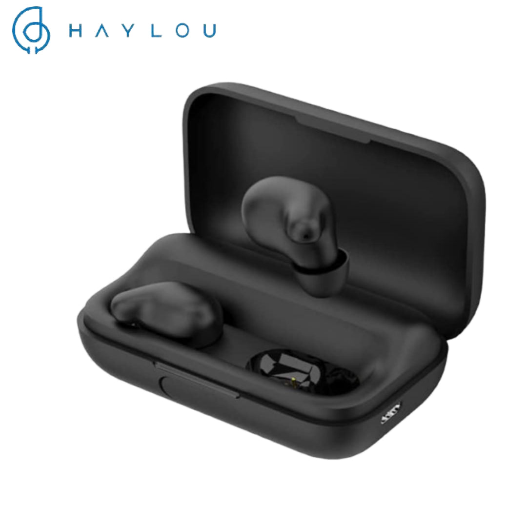 buy earbud from haylou in nepal