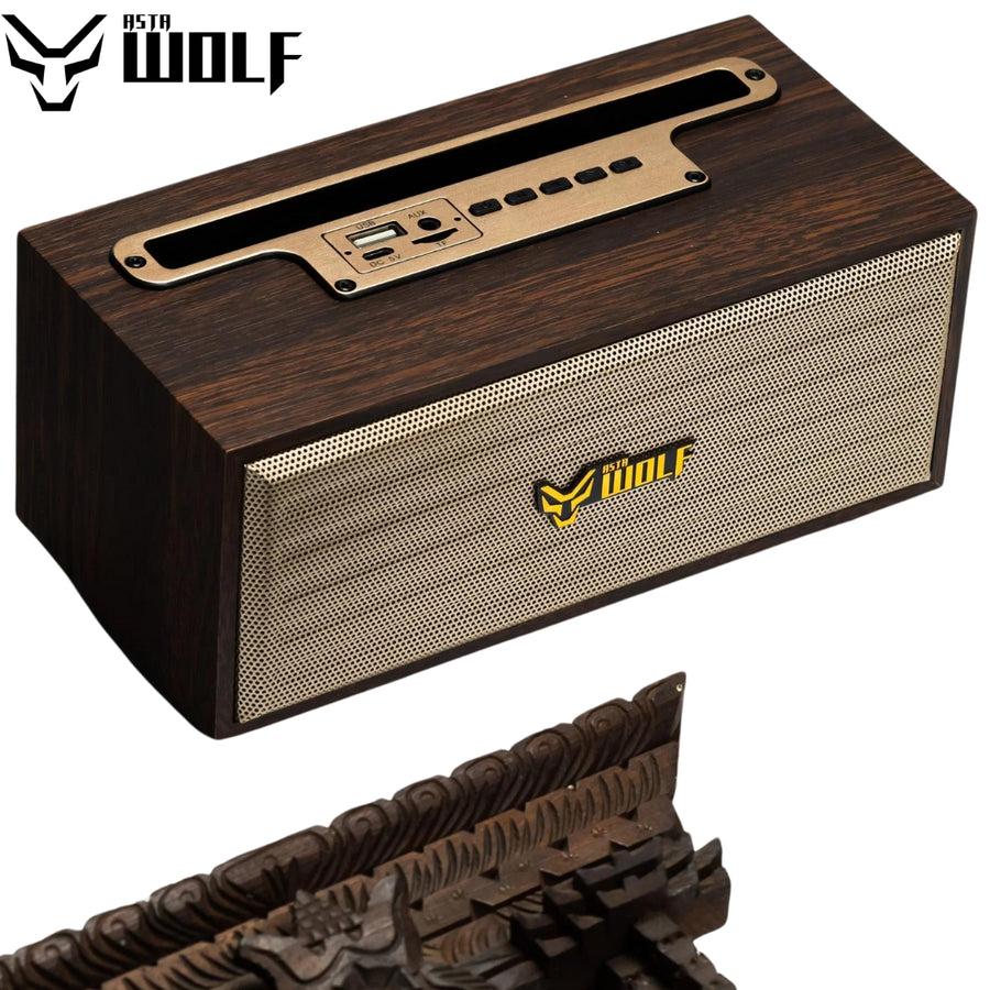 Best Truly Wireless Bluetooth Speaker affordable price