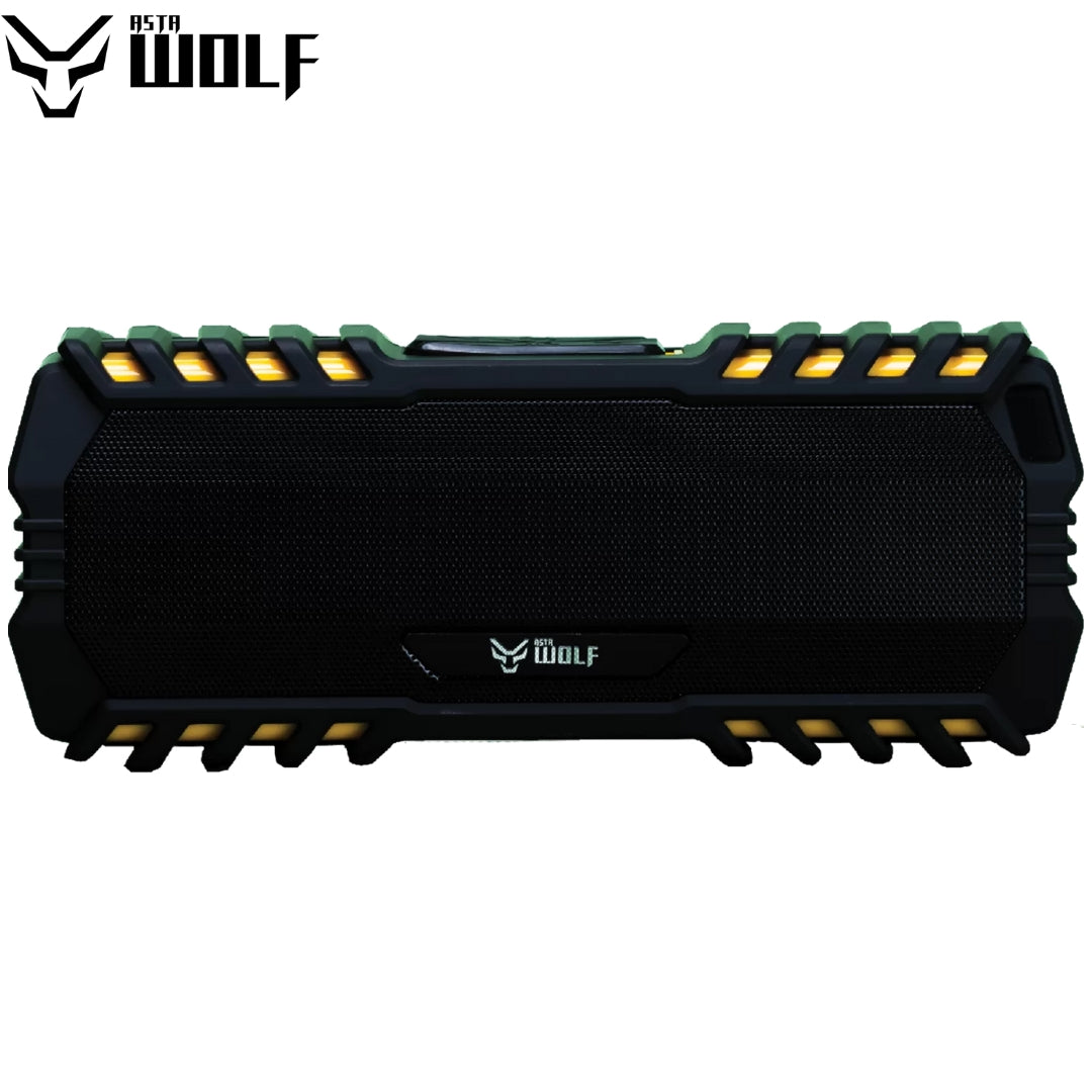 Best Truly Wireless Bluetooth Speaker affordable price