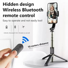 Easy-to-use gimbal stabilizer for beginners

