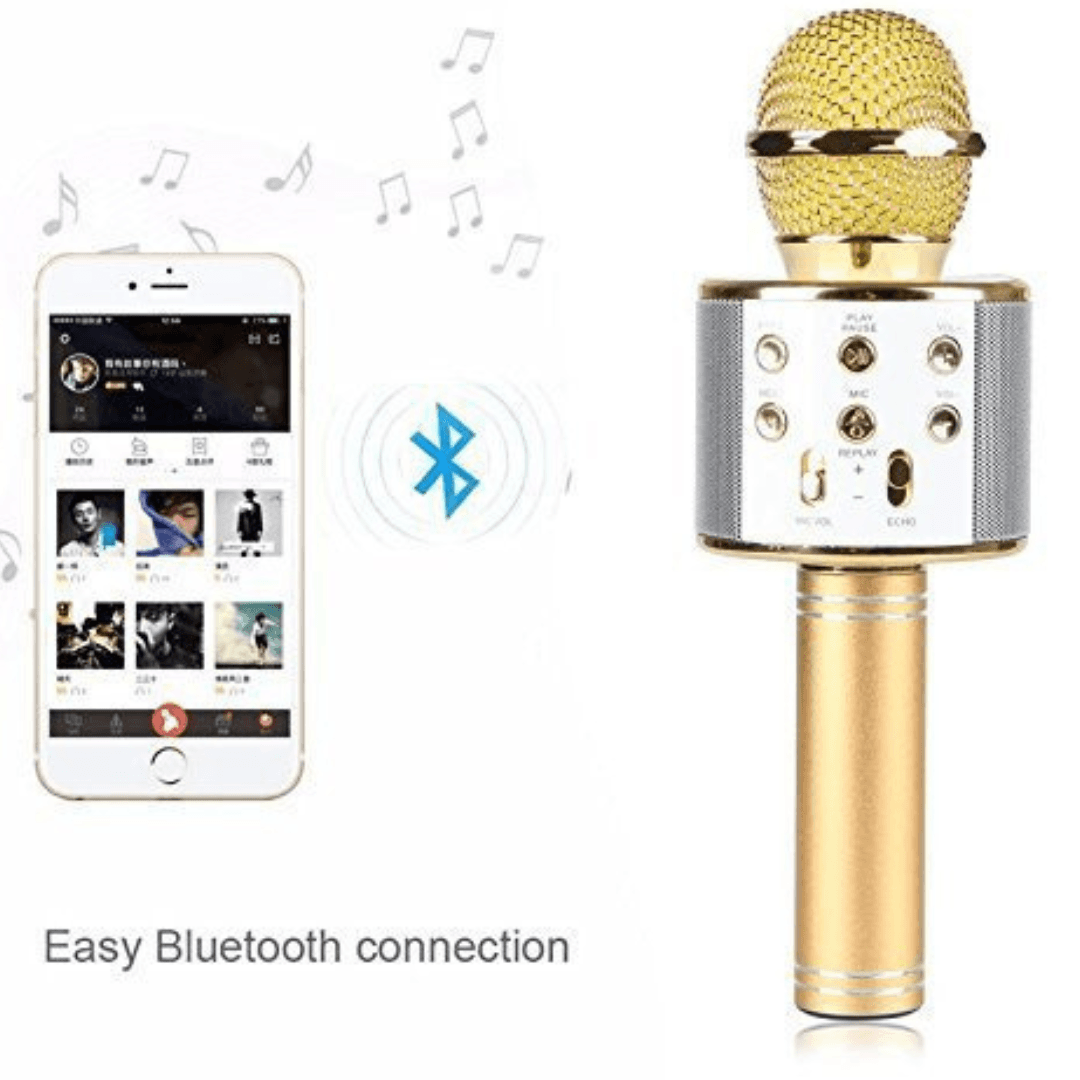 Best Price Microphone in Nepal