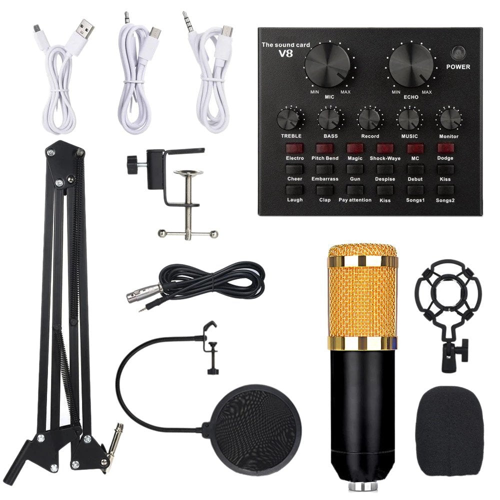 Bm800 Professional Studio Condenser Microphone with V8s Sound Card